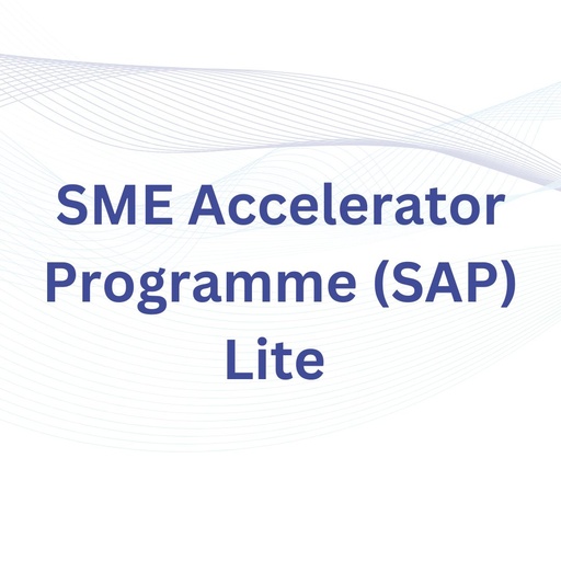 SME Accelerator Programme (SAP) Lite